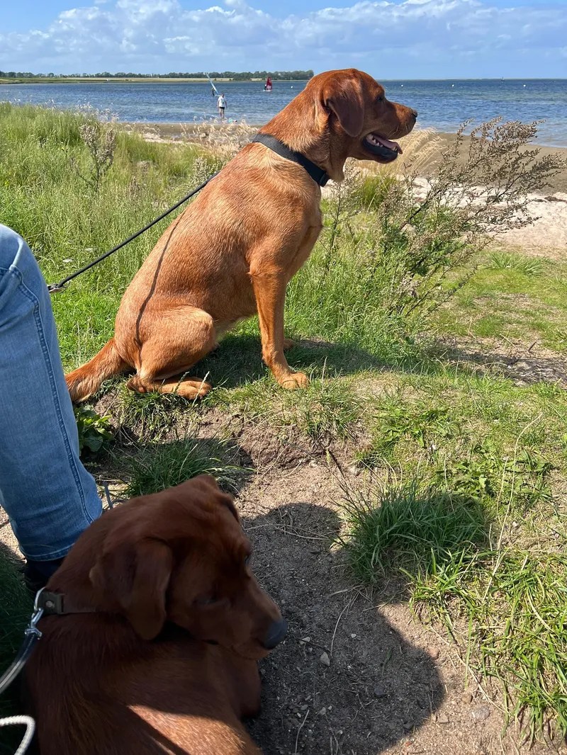 Amy und Maya laufen gemeinsam am Strand entlang