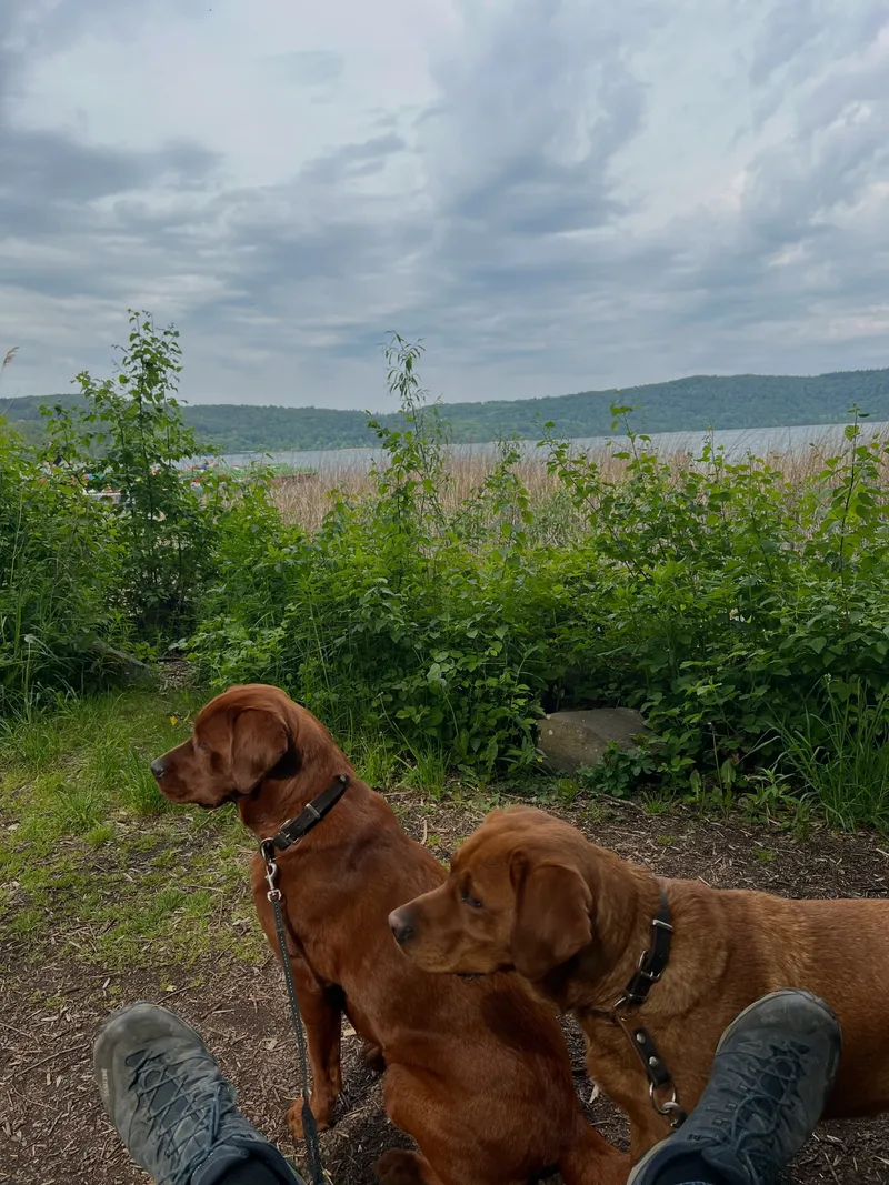 Amy und Maya an einem Teich im Urlaub